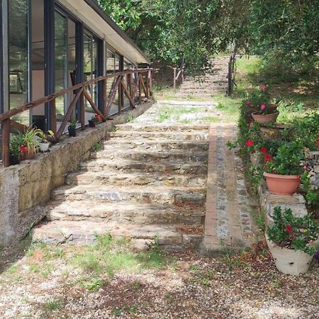 Agriturismo La Focazza Βίλα Ascea Εξωτερικό φωτογραφία