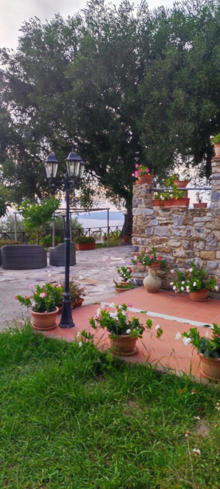 Agriturismo La Focazza Βίλα Ascea Εξωτερικό φωτογραφία