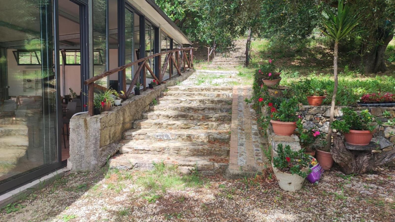 Agriturismo La Focazza Βίλα Ascea Εξωτερικό φωτογραφία