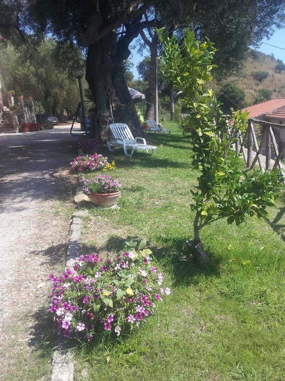 Agriturismo La Focazza Βίλα Ascea Εξωτερικό φωτογραφία